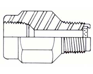 Chemiquip pressure snubber 25